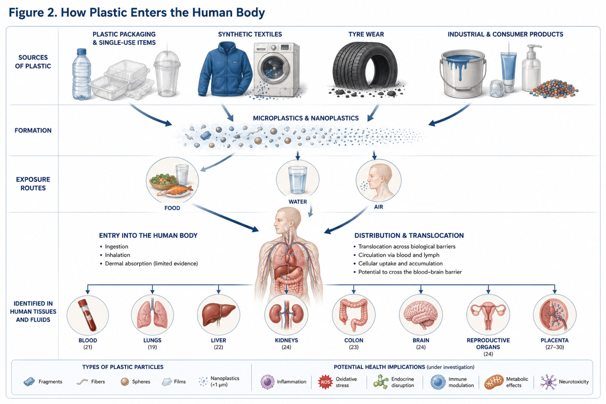 Diagram of plastics from packaging, textiles and consumer products fragmenting into micro- and nanoplastics and reaching humans