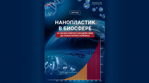 Научный доклад «Нанопластик в биосфере: от молекулярного воздействия до планетарного кризиса» предупреждает о новой глобальной угрозе