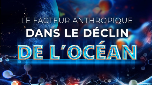Le facteur anthropique dans le déclin de l’océan | Film de vulgarisation scientifique