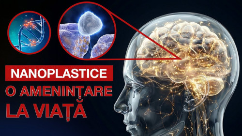 Nanoplastice. O amenințare la viață | Documentar ALLATRA