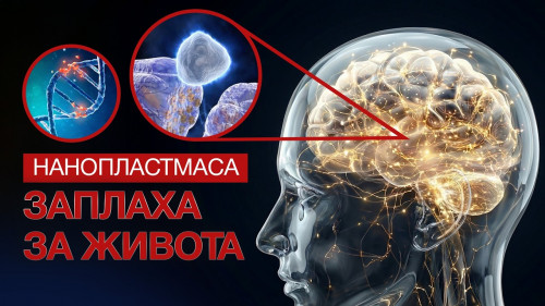 НАНОПЛАСТМАСАТА ЗАПЛАХА ЗА ЖИВОТА