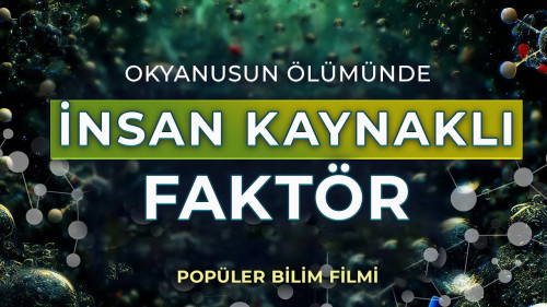 Okyanusun Ölümünde İnsan Kaynaklı Faktör | Popüler Bilim Filmi