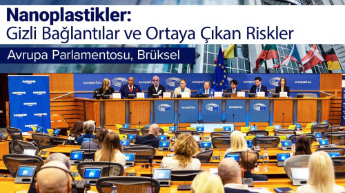 Nanoplastikler: Gizli Bağlantılar ve Ortaya Çıkan Riskler | Avrupa Parlamentosu, Brüksel